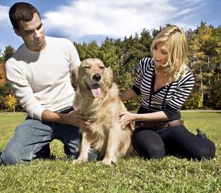  Pet Wellness
