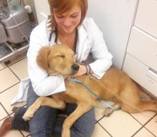  Emergency Care
