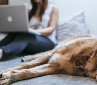  Telemedicine